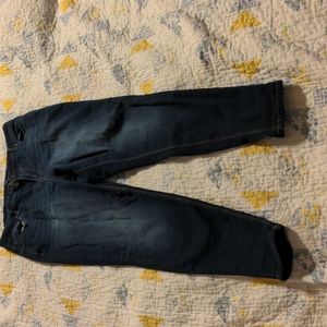 1822 size 14w skinny jeans excellent condition Adrianna cut
